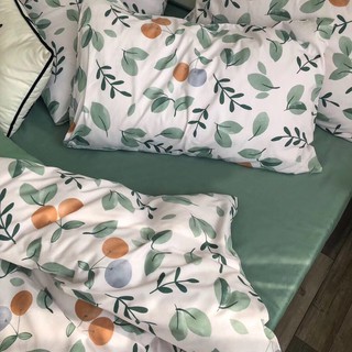 Bộ Chăn Ga Gối Cotton Poly Hoa Xanh