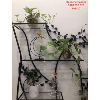 Bể cá mini cung trăng 20 ( tặng kèm phụ kiện trang trí )