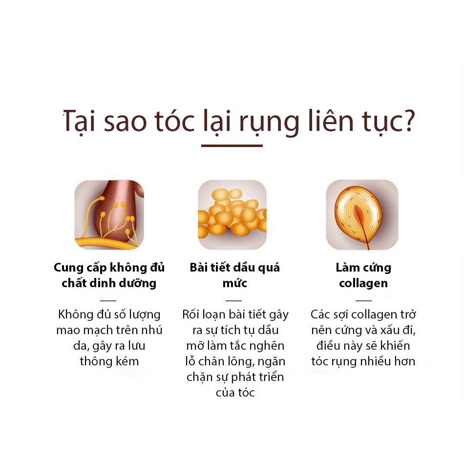 VIBRANT GLAMOUR Tinh chất mọc tóc serum phục hồi & nuôi dưỡng tóc hư tổn kích thích mọc tóc dạng xịt 30ml