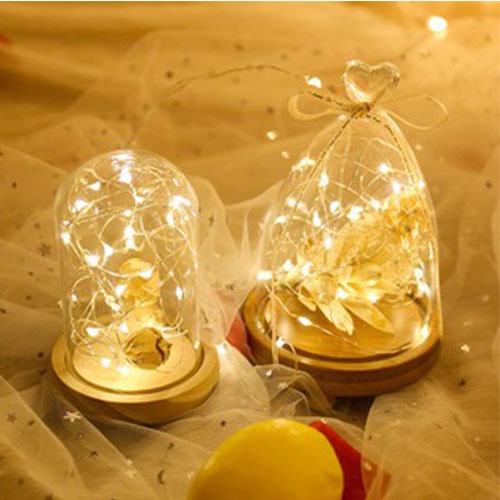Dây đèn Led 2M fairylight , đom đóm dùng pin trang trí hộp quà, cắm trại, chụp ảnh