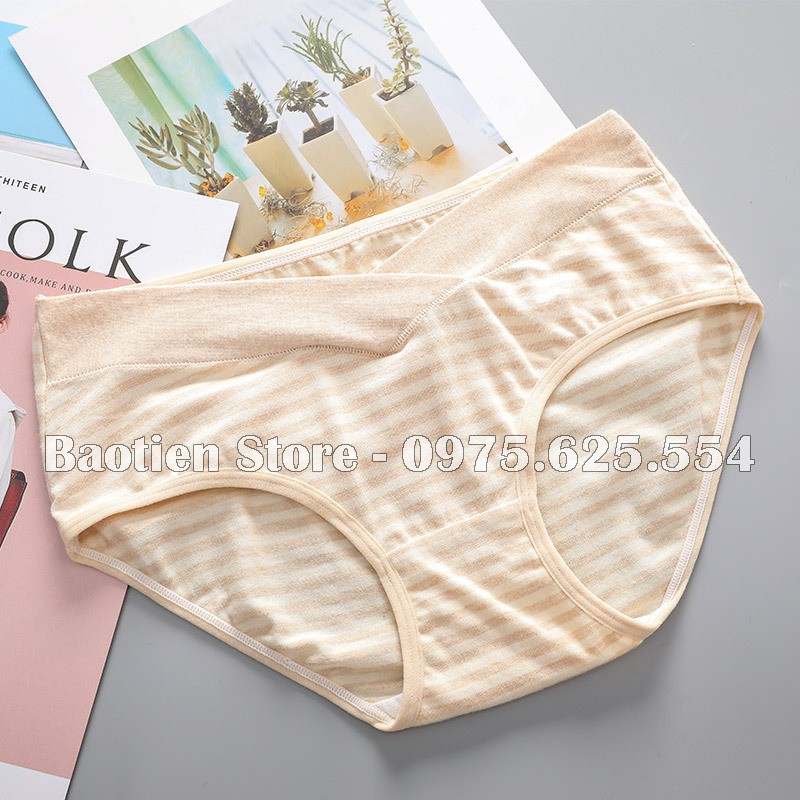 Combo 3 Quần Lót Bầu Cạp Chéo chất cotton kháng khuẩn, có thể mặc sau sinh, đồ lót bầu QL16