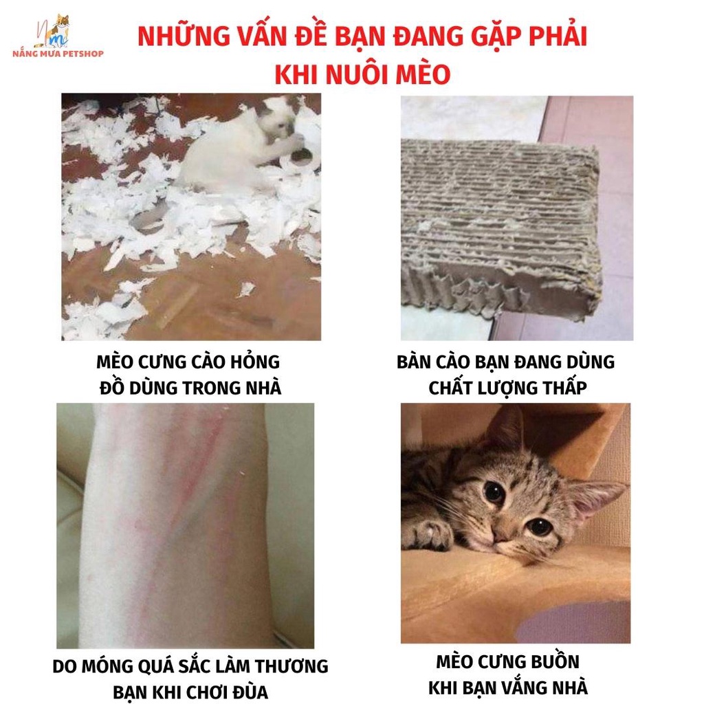 Bàn cào móng, đồ cào móng mèo tặng catnip. Tặng xúc xích đơn hàng 49k