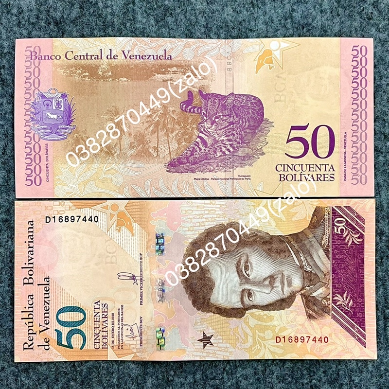Tiền Hình Con Mèo Venezuela Lưu Niệm Lì Xì Tết 2023