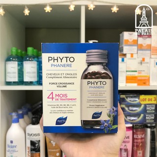 Chống rụng tóc Phyto