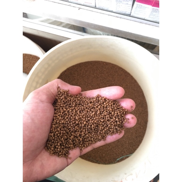 0,5 kg thức ăn cá 2 ly tốt dùng cho cá koi , cá ba đuôi , bảy màu , cá ruby ...
