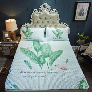 chiếu điều hoà tencel m8