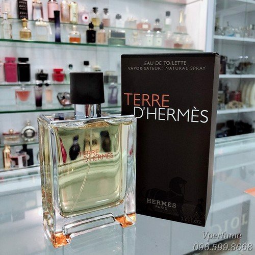 Nước Hoa Nam Chính Hãng Hermes Terre D’Hermes EDT - Donna.cosmetic