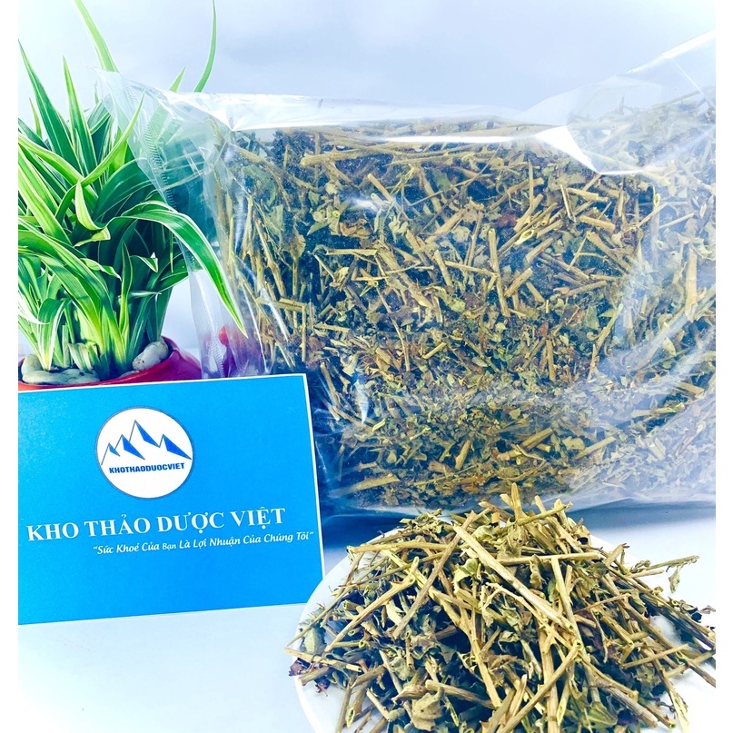 Cà Gai Leo tác dụng tốt cho gan khô, sạch, đẹp 500g | BigBuy360 - bigbuy360.vn