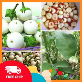 Gói 50 hạt giống cà pháo trắng