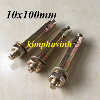 10 con - 10x100mm TẮC KÊ NỞ SẮT -  BULONG NỞ SẮT 1 TẤT