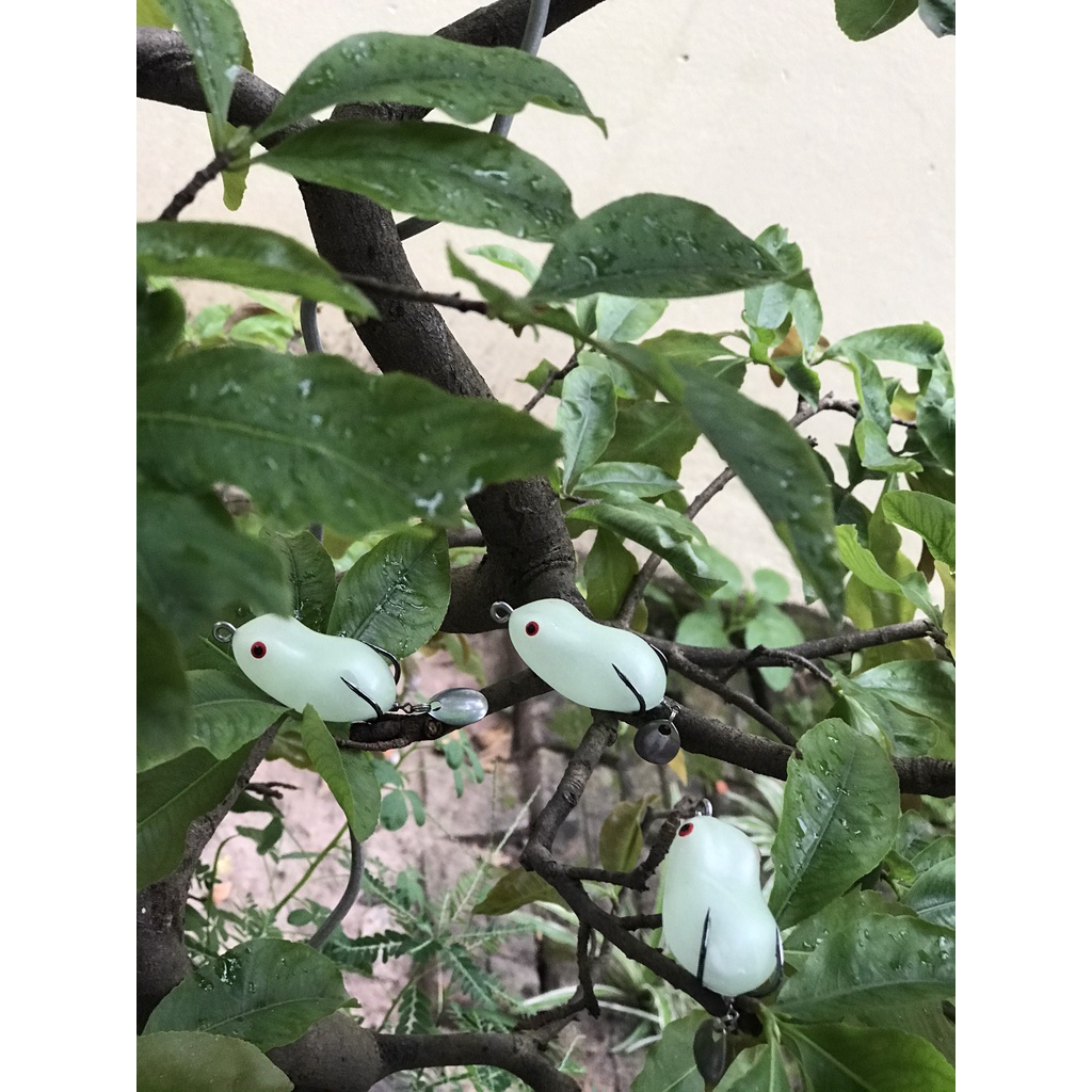 Nhái Hơi, Mồi Nhái Phản Quang, Mồi Câu Lure Cao Cấp