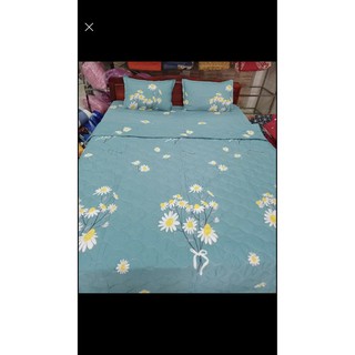 199k/sét chăn hè 5 món chất cotton