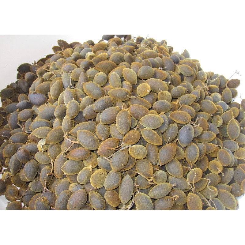 (Tặng kèm muối tôm) Say trâu rừng 500gr Nhii Food đồ ăn vặt chua chua ngọt ngọt | BigBuy360 - bigbuy360.vn