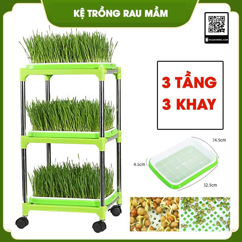 Kệ khay trồng rau mầm thủy canh chuyên dụng 2, 3, 4, 5, 6 tầng