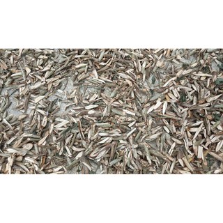 0.5kg Cây An Xoa Rừng