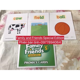 Thẻ Flashcards  Phonics level 5- Family and Friends Special phiên bản tỉnh