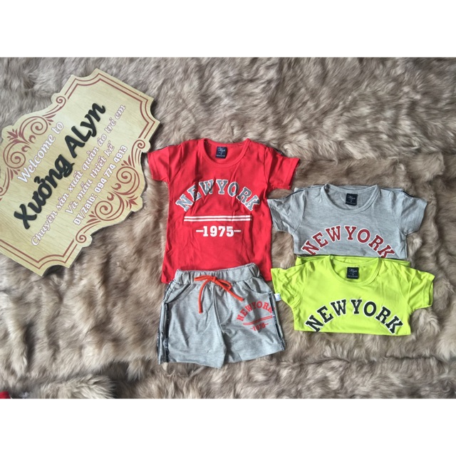 Hang newyork,combo 5bo