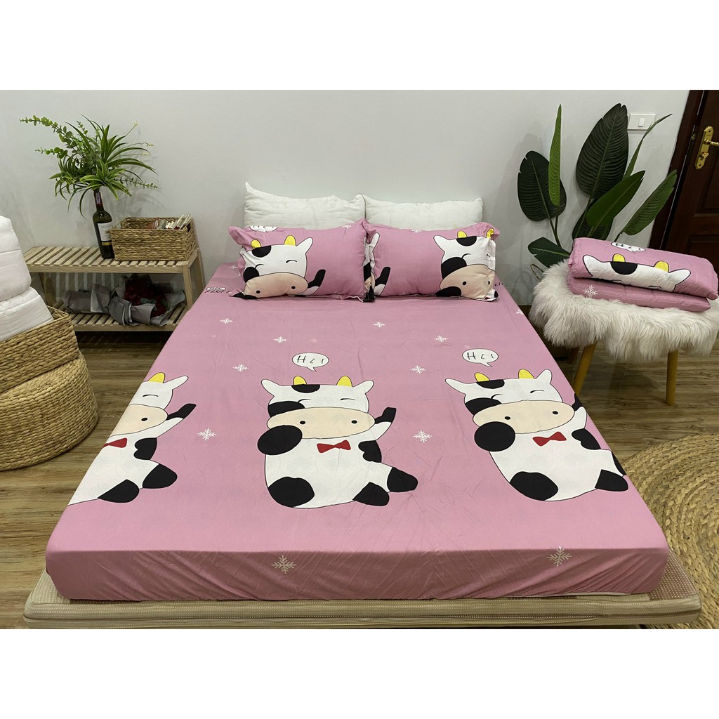 Bộ Ga Gối Poly Ga trải giường | Bộ Drap giường - Họa Tiết Bơ Hello - ZingZingMart