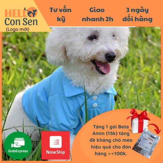 Áo cho chó poodle áo polo chó mèo màu trơn chất vải thấm hút thoáng mát phong cách hè