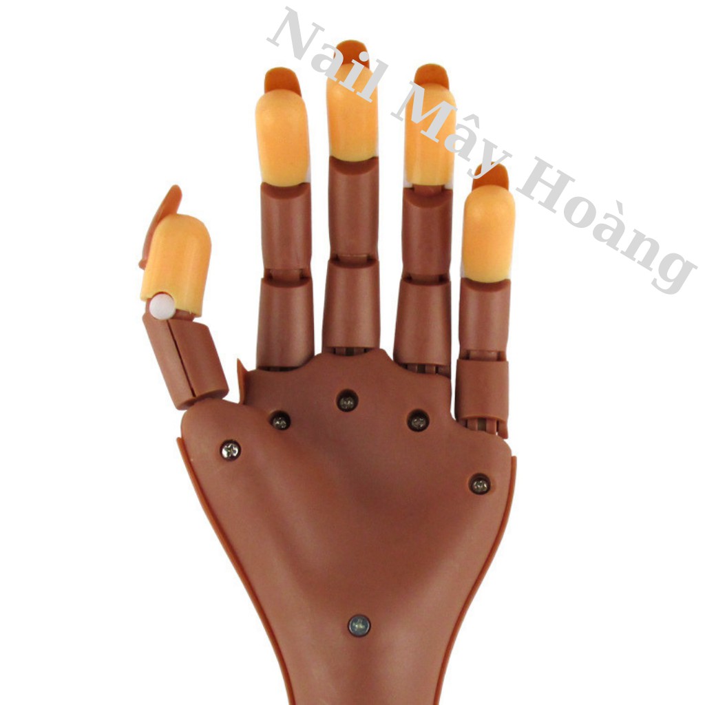 Bàn tay giả học nail