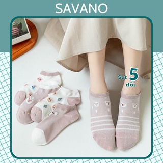 Tất vớ nữ cổ ngắn phong cách dễ thương, set 5 đôi tất vớ dễ phối đồ - savano va238