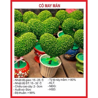 Combo 3 gói hạt giống cỏ may mắn - Tặng 1 gói kích thích hạt nảy mầm