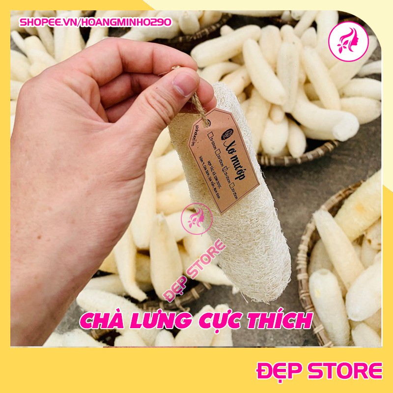 Xơ Mướp Khô Chà Lưng 🌸FREESHIP🌸 Dài 5 - 20 cm, tẩy tế bào hiệu quả làm hoàn toàn từ mướp tự nhiên.