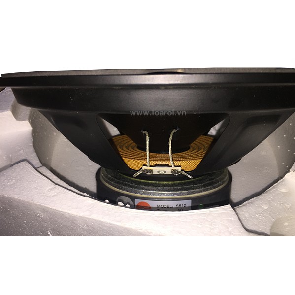 Bass 30 cao cấp hãng Hivi Model SS12