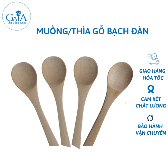 Set 5 muỗng gỗ nhỏ làm từ gỗ bạch đàn