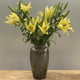 Lọ hoa gốm Bát Tràng decor cao cấp 30 cm - Bình hoa men mộc màu nâu