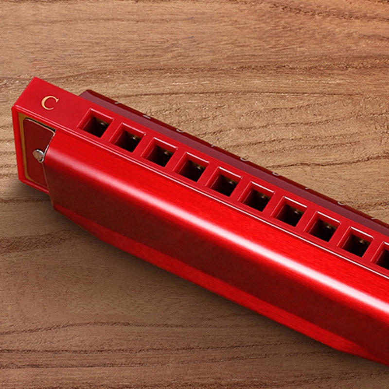 Kèn Harmonica 10 Lỗ 20 Tông Kèm Hộp Đựng Cho Người Lớn Và Trẻ Em