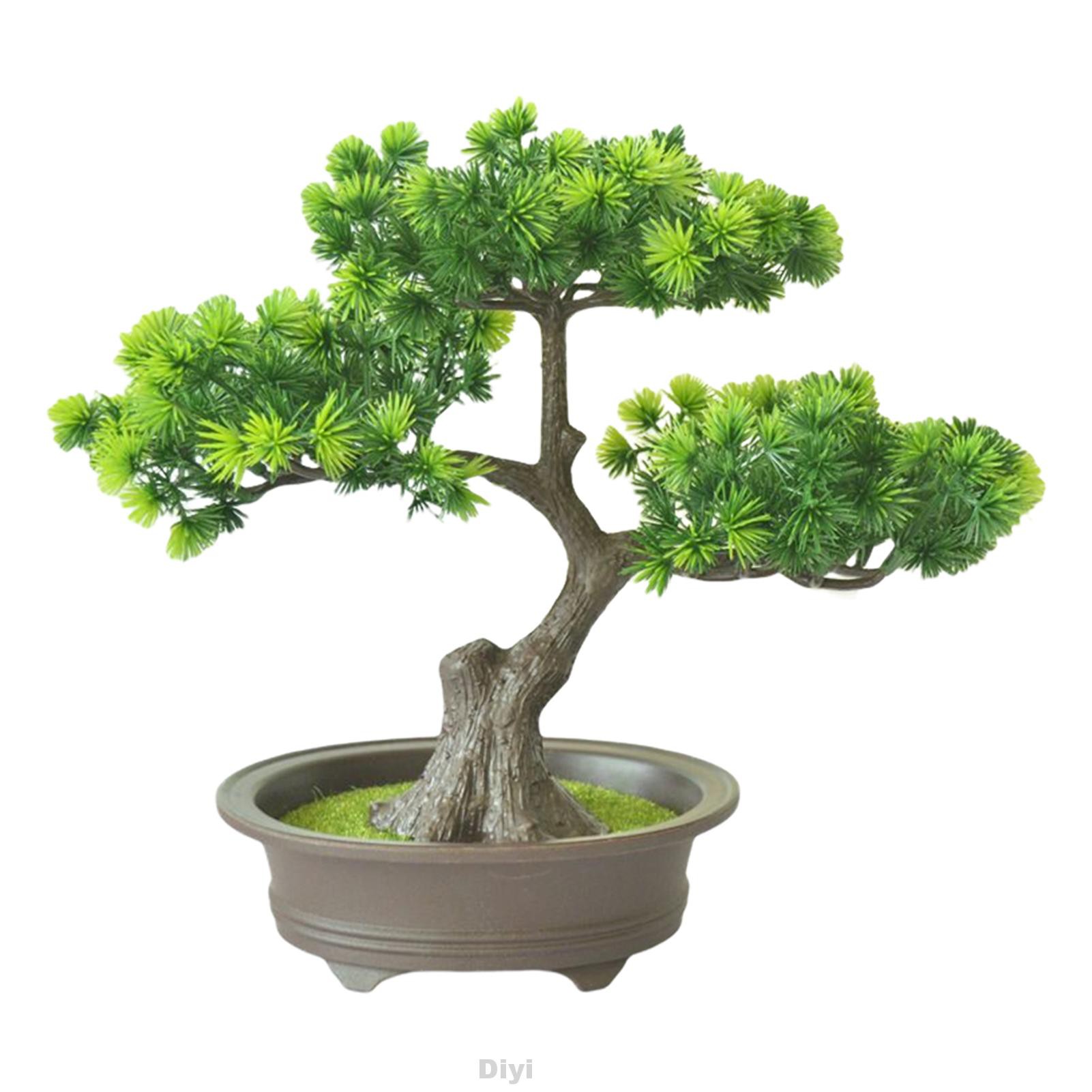 Cây Bonsai Giả Để Bàn Trang Trí