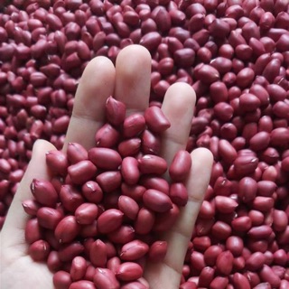 Lạc đỏ