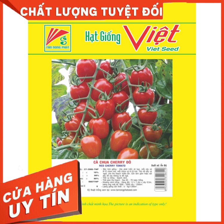 Hạt giống cà chua cherry đỏ (0.1G)