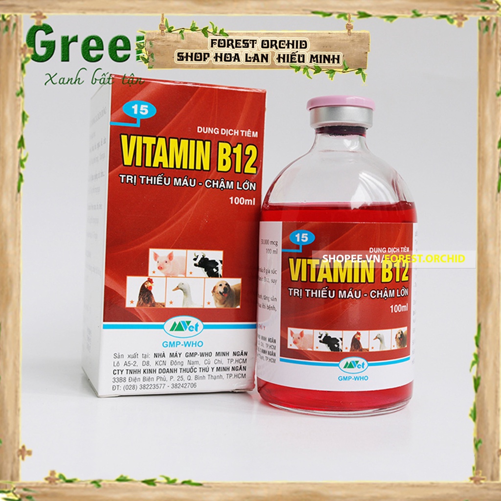 VITAMIN B12 Dung dịch phân bón giải độc, chống sốc phân, tái tạo tế bào cho cây Phong Lan