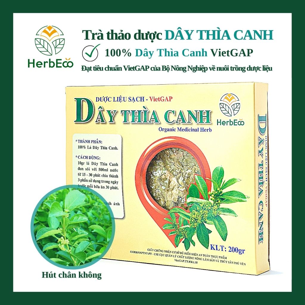 Trà Dây Thìa Canh HERBECO. Trà thảo mộc Dây Thìa Canh giảm tiểu đường, HbA1C, giảm cân