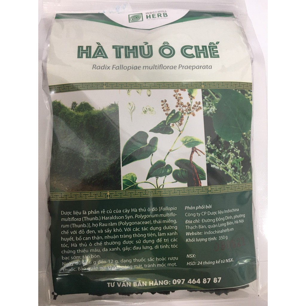 Hà thủ ô chế Indochina Herb