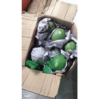 Bưởi da xanh bến tre size 1-1,3kg