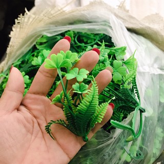 Cỏ điểm  trang trí đủ mẫu 1kg