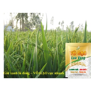 1 gói phân bón lá vô gạo lúa vàng 19gr
