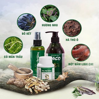 ☑️1 Uống+1 Xịt Tóc Haco