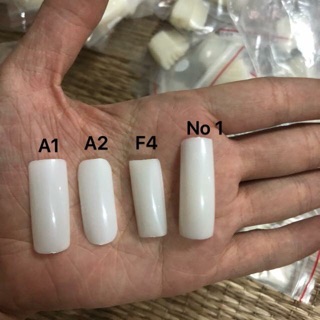 Móng giả tập làm nail (A1/A2/No1/F4)