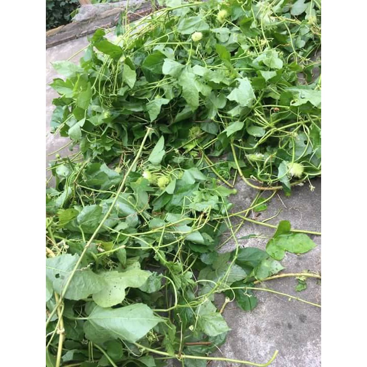 1Kg Lạc tiên khô
