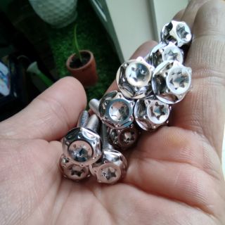 ốc inox salaya Vn (dẹp) - 6li3 (m6x30) - 6li4 (m6x40)