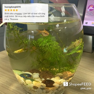 BỂ CÁ THỦY TINH MINI ĐỂ BÀN - BỂ CÁ HÌNH BẦU DỤC