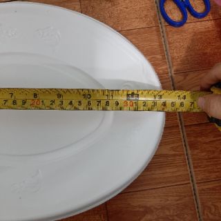 100 đĩa xoài lớn
