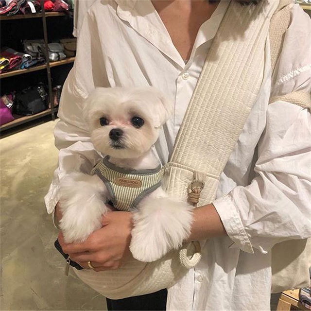 Ba Lô Đựng Thú Cưng Đi Chơi / Du Lịch Một Dây Đeo Chéo Tiện Lợi
