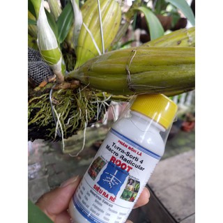 Phân bón lá cao cấp siêu ra rễ Terra Sorb 4 Root