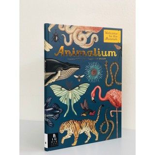 [ Sách Nhập Khẩu ] Animalium - Khám Phá Động Vật
