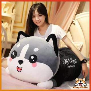 Gấu bông mèo husky siêu béo siêu bự -